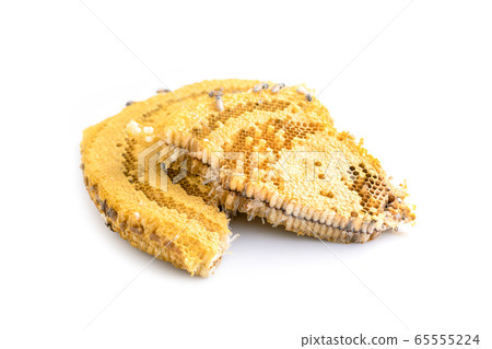 Macro bees on honeycomb studio shoot and isolated 65555224