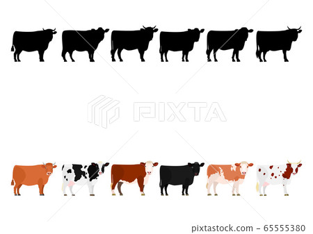 Rows of various cows 2 Rows of various cows 2 65555380