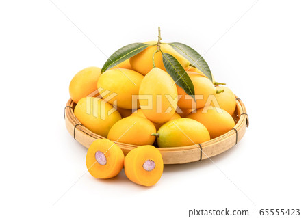 Fresh yellow marian plum fruit (Mayongchid in Thai Fresh yellow marian plum fruit (Mayongchid in Thai 65555423