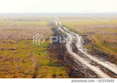 misty road to nowhere in Hungarian puszta 65555688