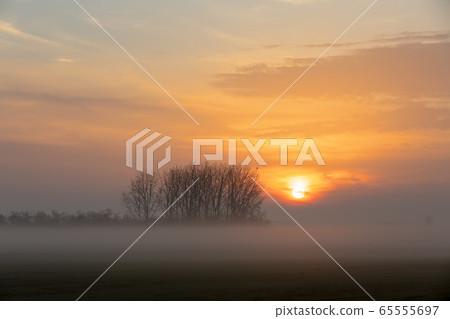 Sunrise landscape of Hortobagy landscape Sunrise landscape of Hortobagy landscape 65555697