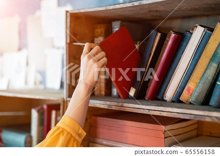 尋找一本書的女人 65556158