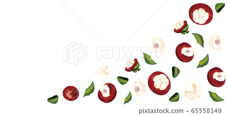 Set of fresh mangosteen in motion on white background. 3D realistic mangosteen. Whole and halves mangosteen with green leaf. Top view. Illustration. Set of fresh mangosteen in motion on white background. 3D realistic mangosteen. Whole and halves mangosteen with green leaf. Top view. Illustration. 65558149