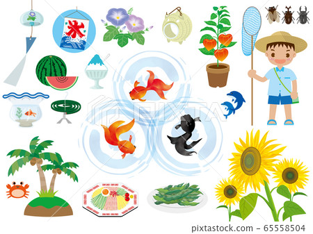 夏天的插圖1 65558504