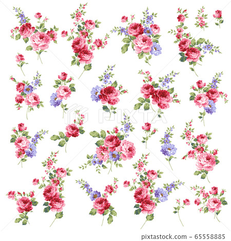 Beautiful rose illustration material Beautiful rose illustration material 65558885