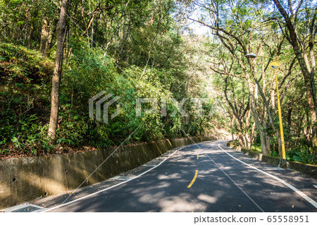 curval road under the tree curval road under the tree 65558951