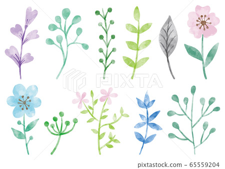 Flower_pale_watercolor Flower_pale_watercolor 65559204