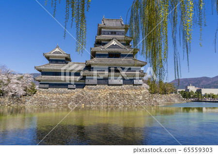Matsumoto Castle in Spring 65559303