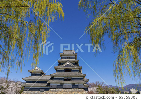 Matsumoto Castle in Spring Matsumoto Castle in Spring 65559305