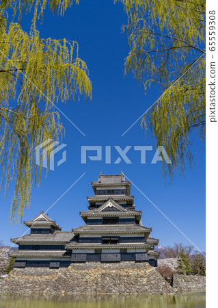 Matsumoto Castle in Spring 65559308