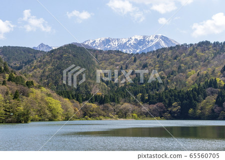 春天的小野池和大山國家公園 65560705