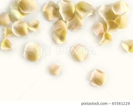 Background rose petals Background rose petals 65561229