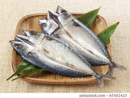 Kinka mackerel open 65561423