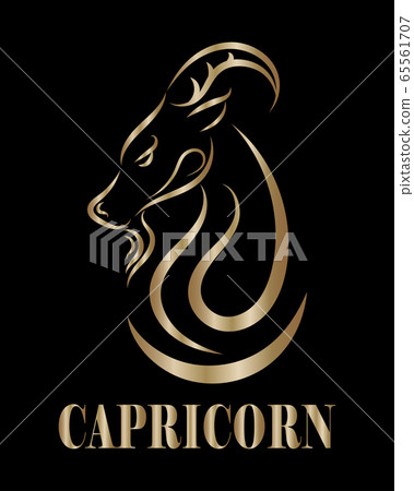 Golden line vector logo of goat head. It is sign of capricorn zodiac. Golden line vector logo of goat head. It is sign of capricorn zodiac. 65561707