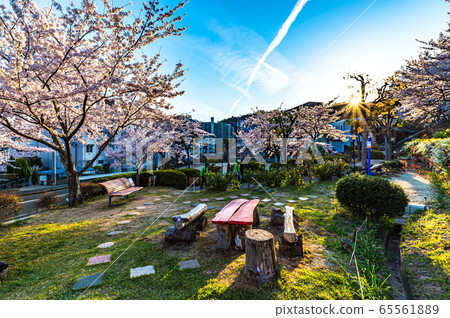 Takarazuka-shi, the dusk of Satsukidai housing 65561889