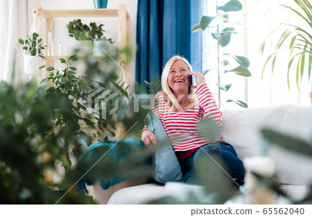 Attractive senior woman with smartphone sitting indoors on sofa, making phone call. Attractive senior woman with smartphone sitting indoors on sofa, making phone call. 65562040