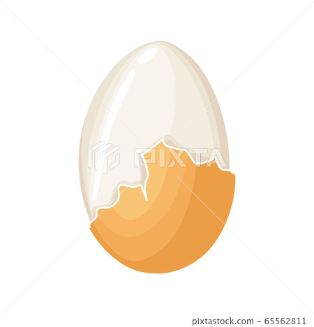 Boiled egg. Cracked eggshell and proteins isolated on white background. Egg vector healthy food Boiled egg. Cracked eggshell and proteins isolated on white background. Egg vector healthy food 65562811