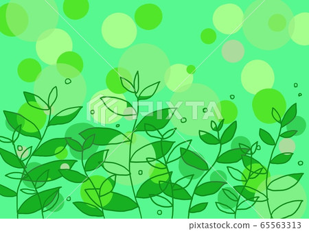 Fresh green Fresh green 65563313
