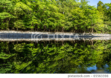Ise Shrine in early summer 65563398