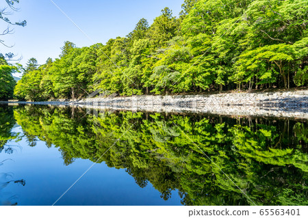 初夏伊勢神宮 65563401