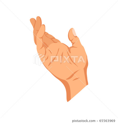 Female hand sign. Human finger gesture sign. Sign language. Isolated vector illustration 65563969