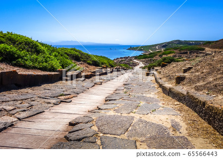 Tharros archaeological site and seascape, Sardinia 65566443