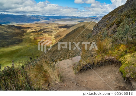Mountain hiking trail in the Andes 65566818