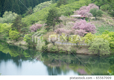 秋田縣八代市伊森之森 65567009