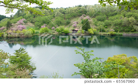 Yashio Ikoinomori, Akita Prefecture Yashio Ikoinomori, Akita Prefecture 65567060