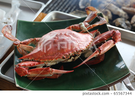 一隻螃蟹 一隻螃蟹 65567344