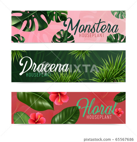 Houseplants Realistic Banners  65567686