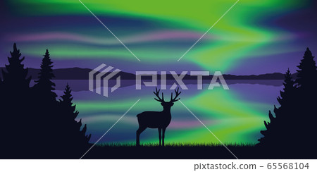 wildlife deer by the lake with beautiful polar lights in the sky 65568104