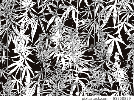 Hemp, Cannabis seamless pattern, background. 65568859