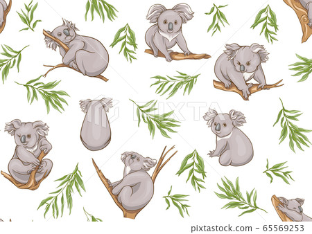 Koala bear seamless pattern. 65569253