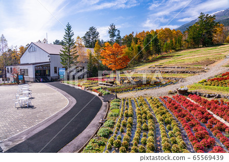 （長野縣）三山木曾，三岳索道，山麓站，花園 65569439