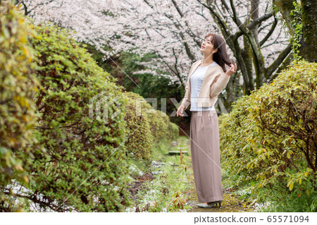 Beautiful woman  65571094