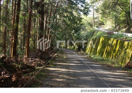 Typhoon damage 65571649