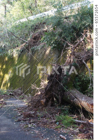 Typhoon damage 65571654
