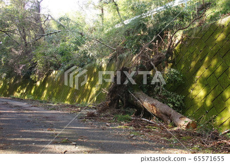 Typhoon damage 65571655