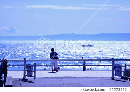 江之島 江之島 65572252