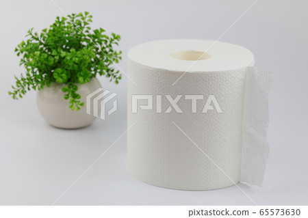 衛生紙 65573630