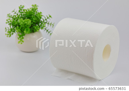 衛生紙 65573631