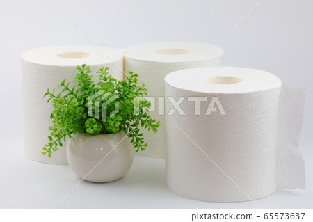 衛生紙 65573637