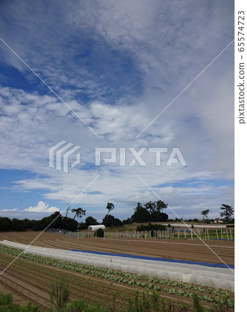 新潟的風景 新潟的風景 65574723