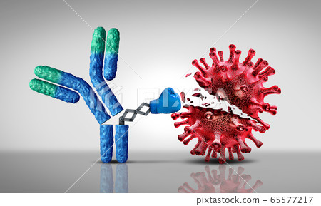 Antibody Fighting Virus Antibody Fighting Virus 65577217