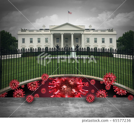 White House Secret White House Secret 65577236
