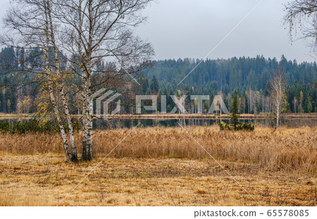 Mountain alpine autumn lake Schwarzsee, Kitzbuhel, 65578085