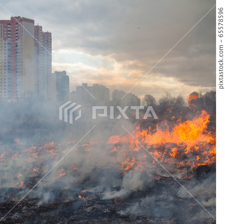 Fire in the field near the city Fire in the field near the city 65578596
