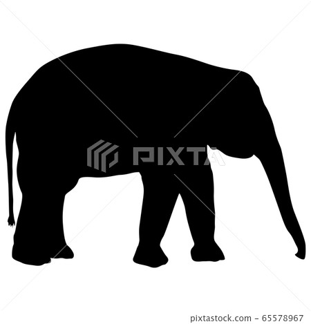 Silhouette large African elephant on a white 65578967