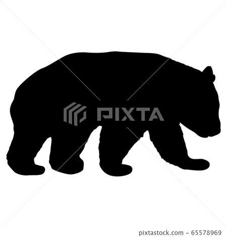 Silhouette of the Panda on a white background 65578969